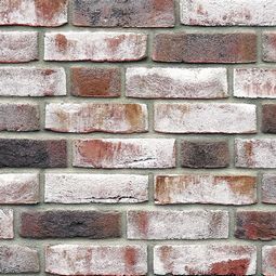 Плитка под кирпич Geestbrand grauweiss-bunt ручная формовка NF14 240x71x14 мм ROBEN