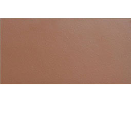 Напольная клинкерная плитка Proyect Rojo Base 245x120x18 мм EXAGRES