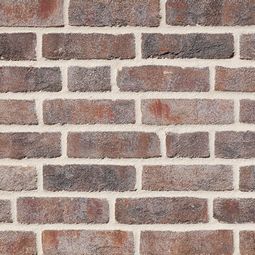 Плитка под кирпич Wasserstrich bunt-grau ручная формовка NF14 240x71x14 мм ROBEN