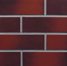 Фасадная термопанель Naturbrand ППС 1000x60x650 мм, Европа