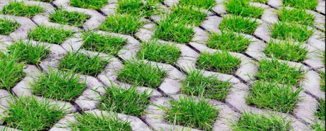 Газонная решётка