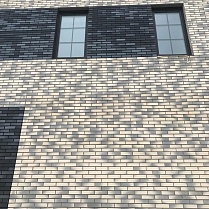 Облицовочный кирпич 1-41-00-0-00 Частный дом Курганская обл RECKE 3