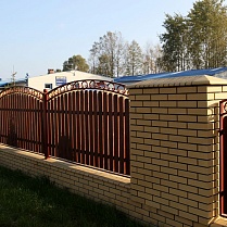 Желтый Gołowczyński 2